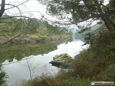 Ruta del Turrón y Polvorón - Los Pinares del Rey: naturaleza y biodiversidad; asturias senderismo se